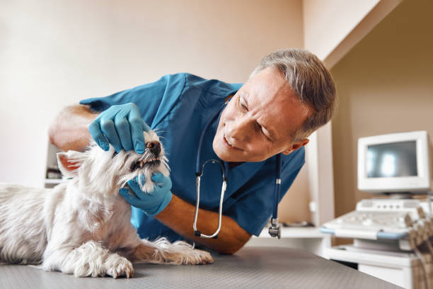 Best Emergency Tooth Extraction in Corsicana, TX